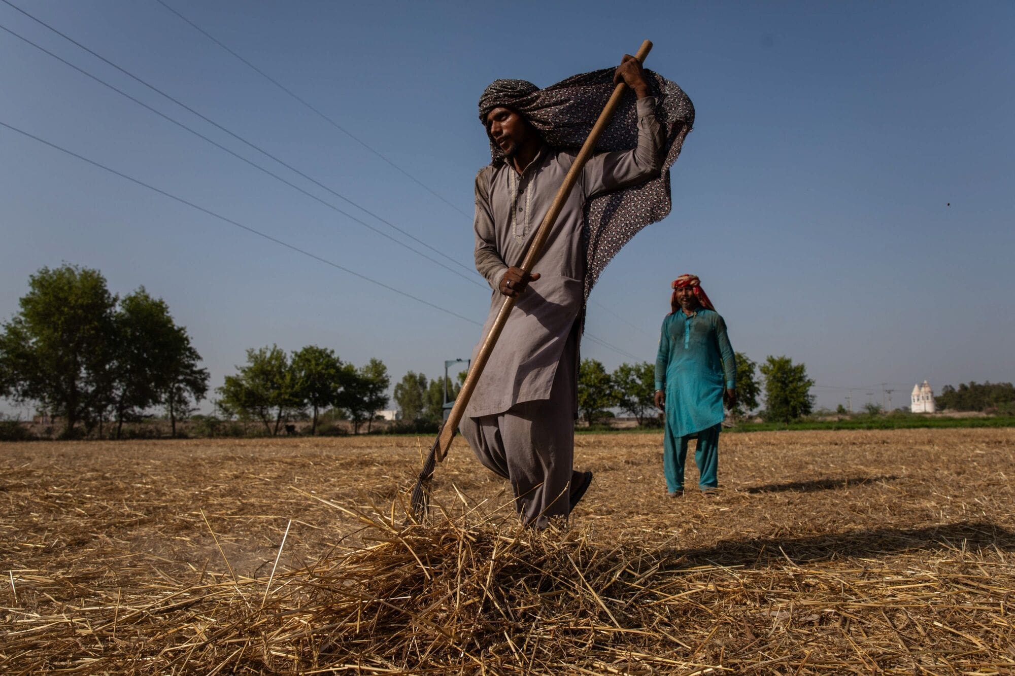 A farmer in Pakistan
