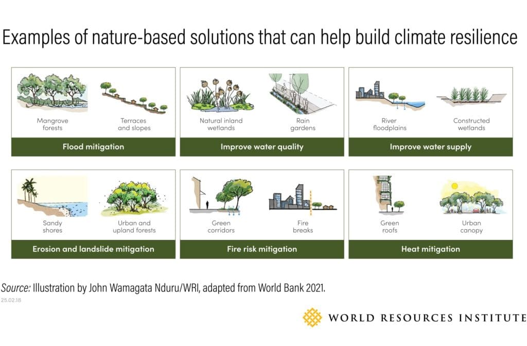 Nature-based solutions are gaining momentum across Africa 1 Nature-based solutions are gaining momentum across Africa 1