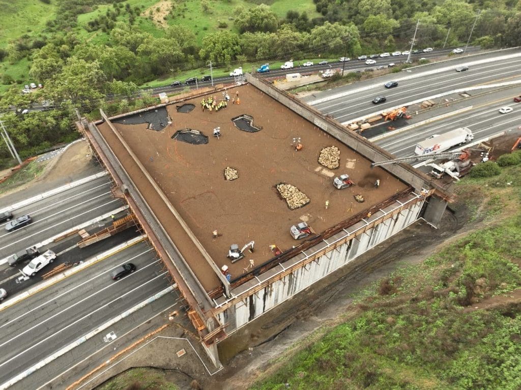 Wildlife crossings are multiplying in number and impact 1